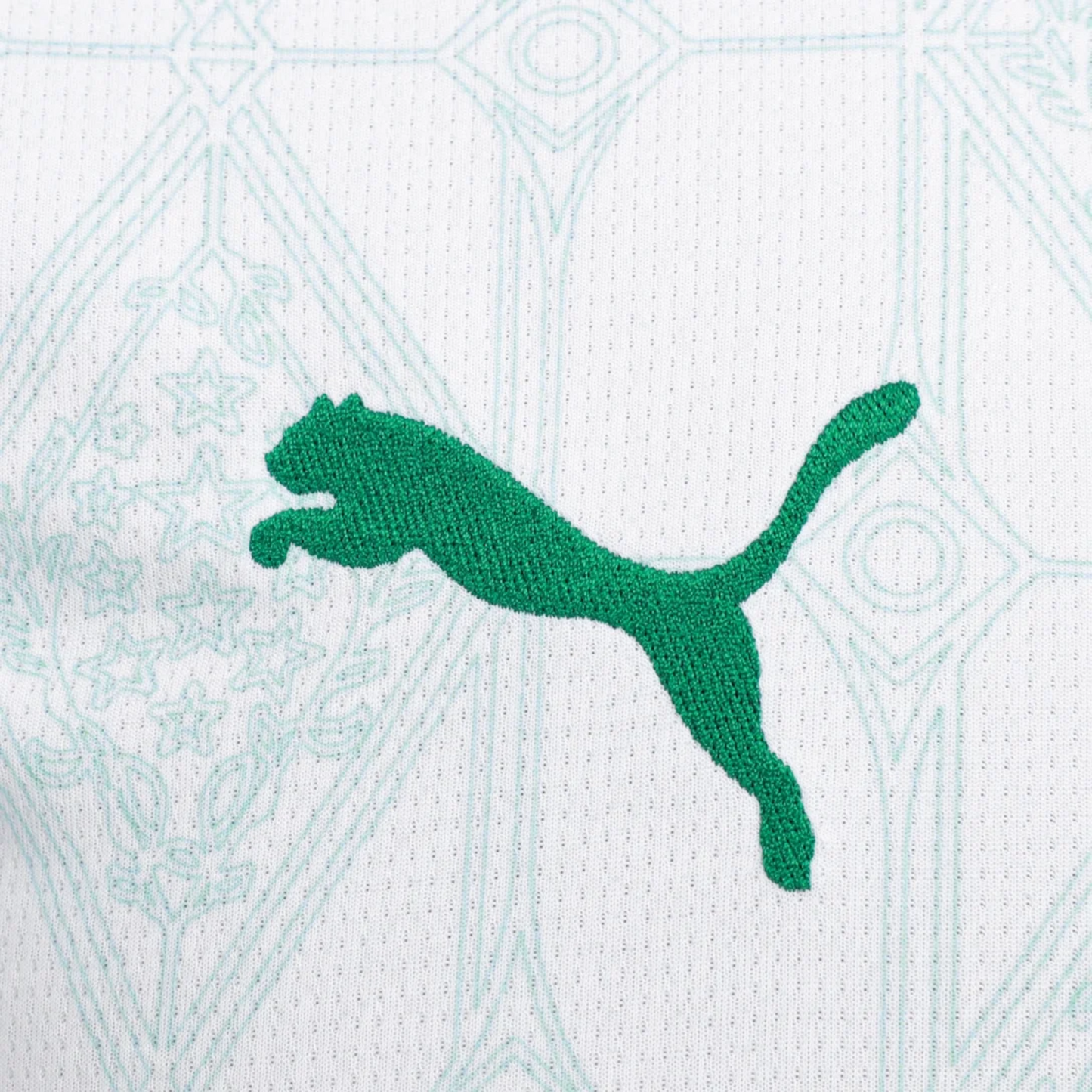 Camisa SE Palmeiras 2025/26 Away