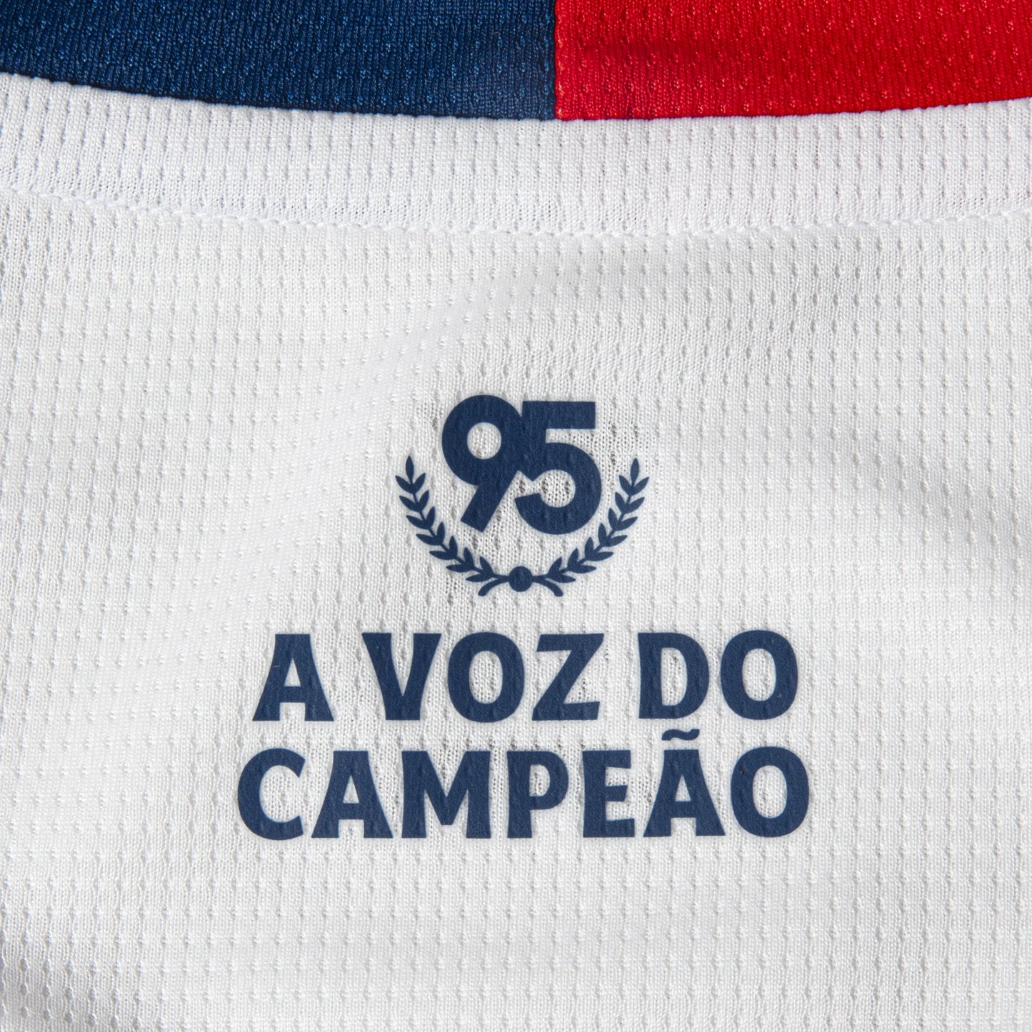 Camisa Jogador 1 2026 Esporte Clube Bahia Puma Branca Masculina