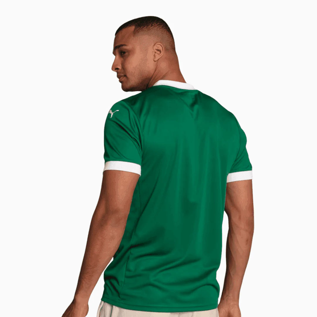 Camisa Palmeiras 2025/26 I - PAULINHO N° 10