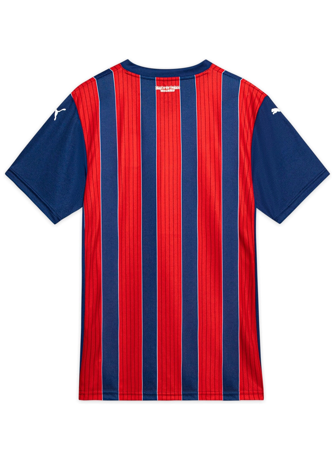 Camisa Torcedor 2 2025 Esporte Clube Bahia Puma Tricolor Masculina