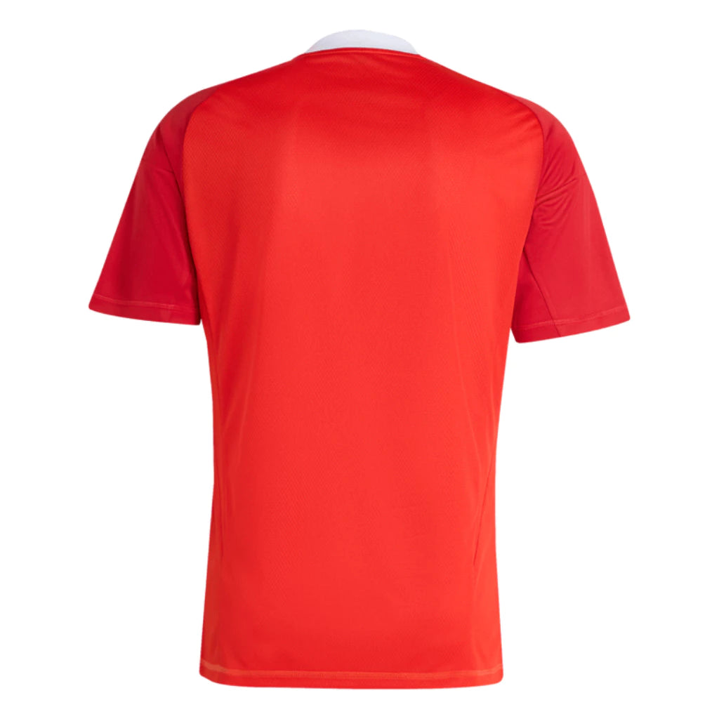 Camisa Flamengo Goleiro 3 2025