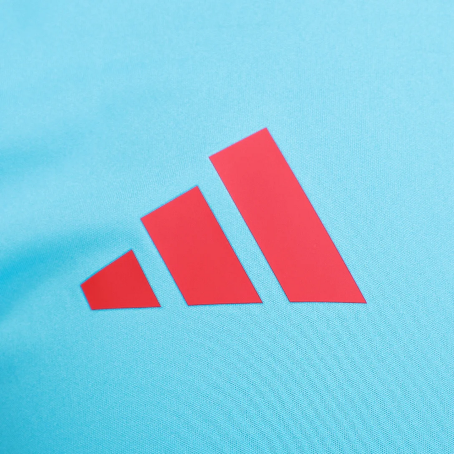 Camisa Flamengo 2025/26 Treino