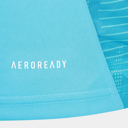 Camisa Flamengo 2025/26 Treino