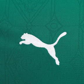 Camisa SE Palmeiras 2025/26 Home