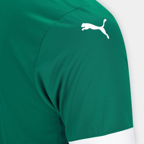 Camisa SE Palmeiras 2025/26 Home
