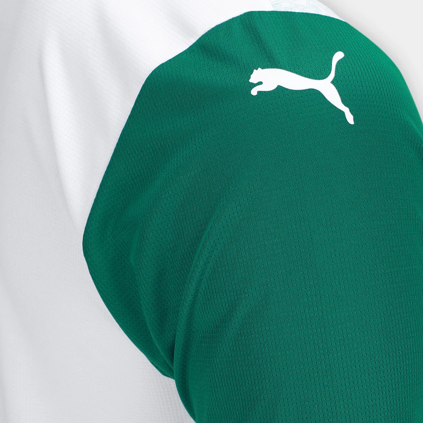 Camisa SE Palmeiras 2025/26 Away